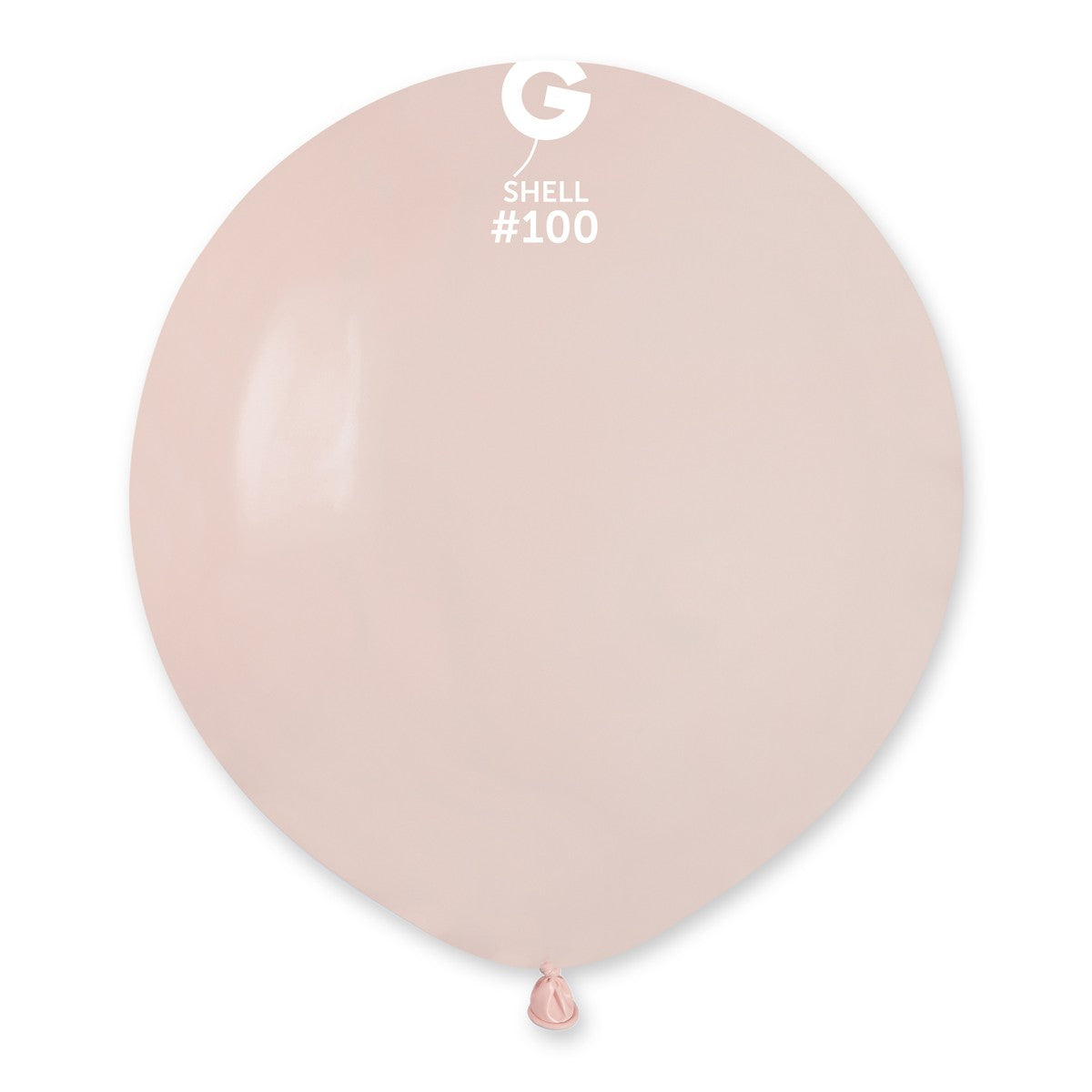 Gemar 19" Shell #100 G19 25pcs Round Balloon — Italian store beauty original 1200px